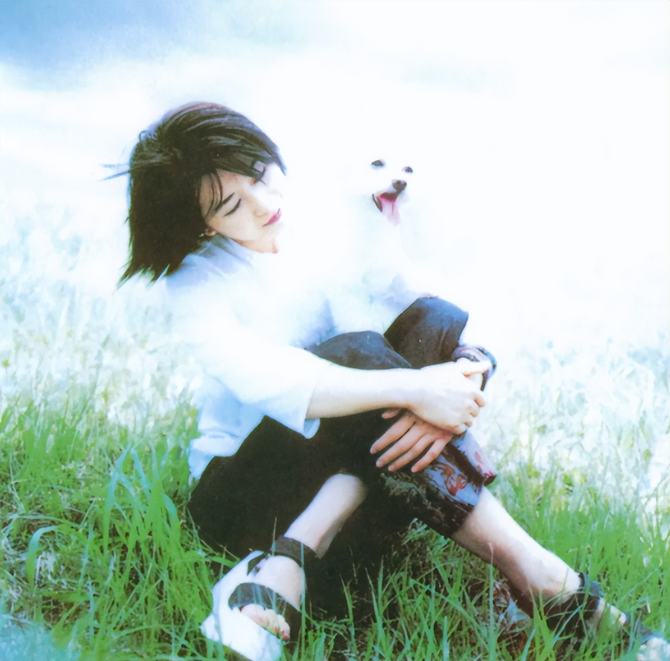 孟庭苇老公张志鹏个人资料,孟庭苇离婚原因分析