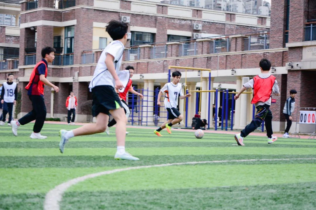 瓒虫ⅵ缁胯尩缁芥斁绮惧僵瓒崇悆鏁呬簨,瓒虫ⅵ缁胯尩