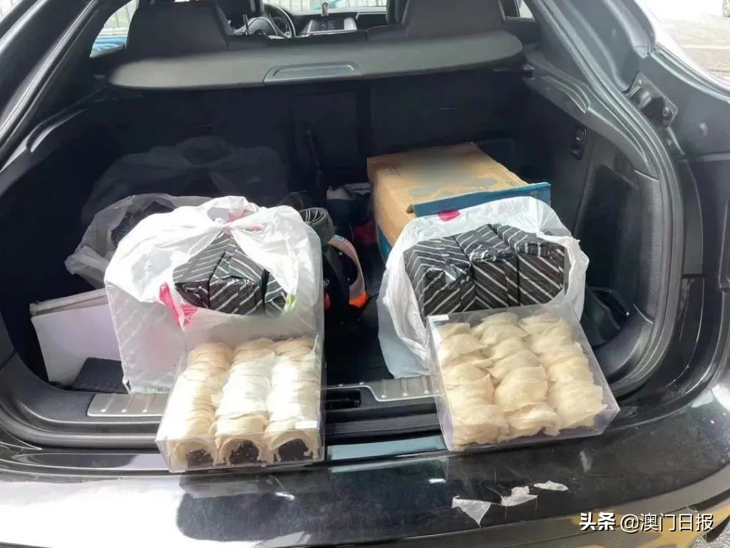 海关新预检管理系统,海关新系统的操作方法