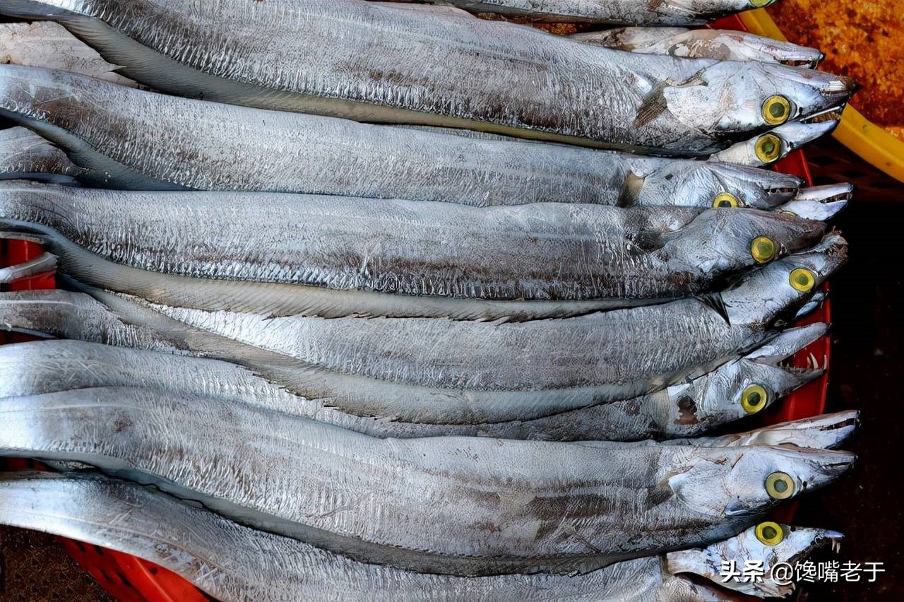 三种带鱼不要买,带鱼能不能随便买