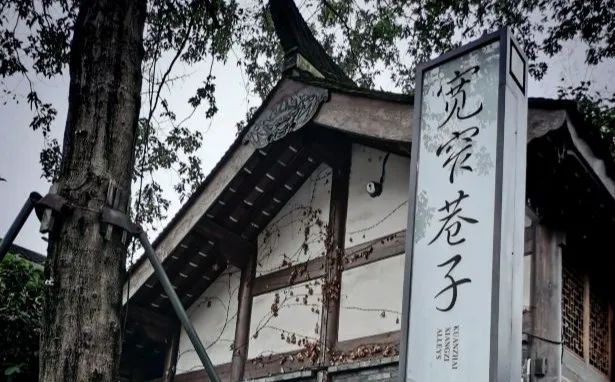 四川成都旅游攻略大全,成都旅游攻略带小孩自由行攻略