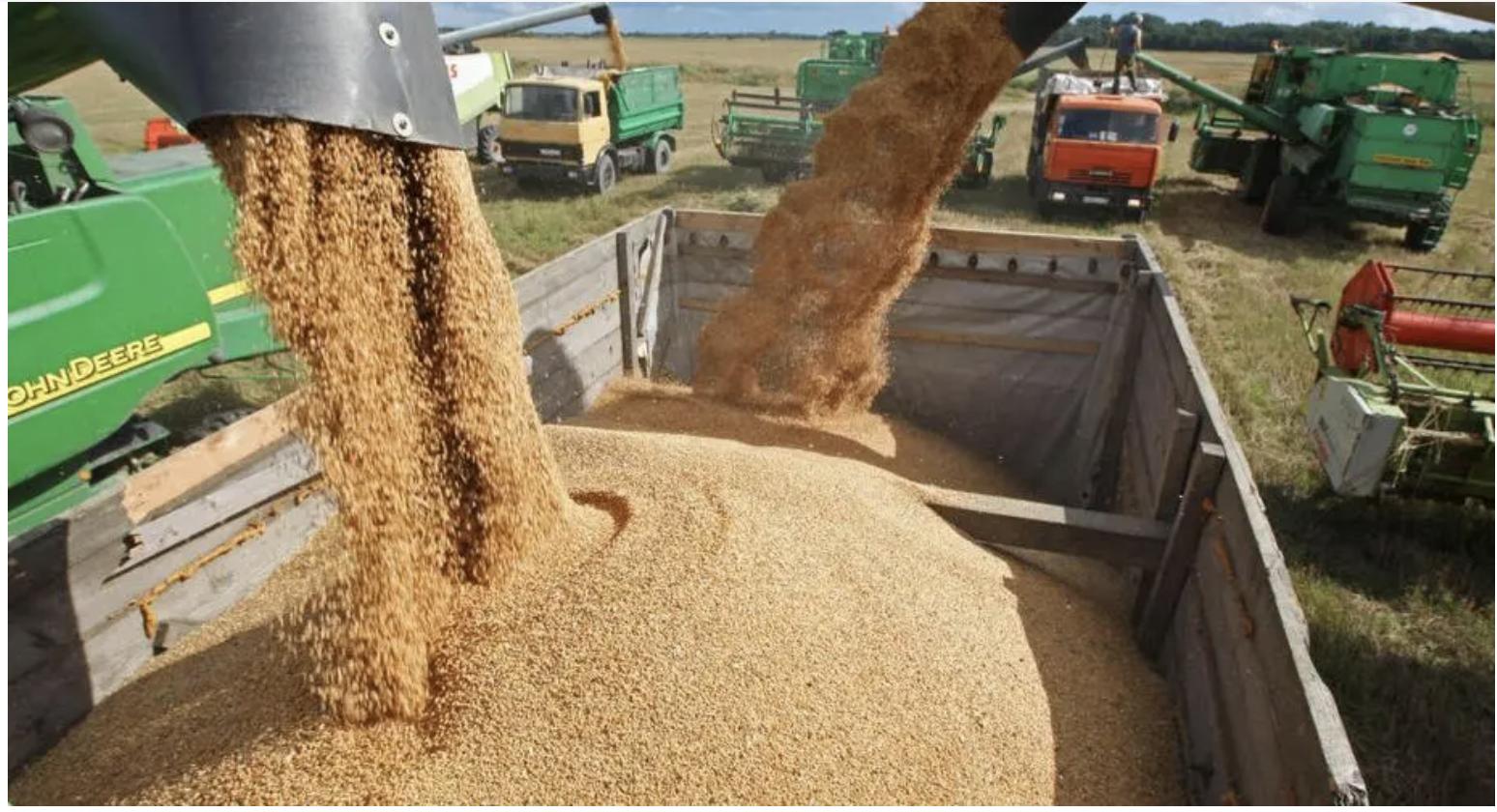 俄罗斯为多卖粮食中国，普京送上大礼，东北获得海参崴出海口