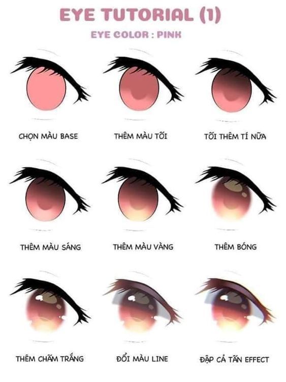 绘画素材|手绘眼睛各种练习素材参考​​​