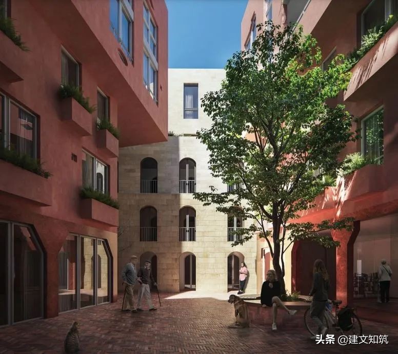 waf2023世锦赛,waf国内排名