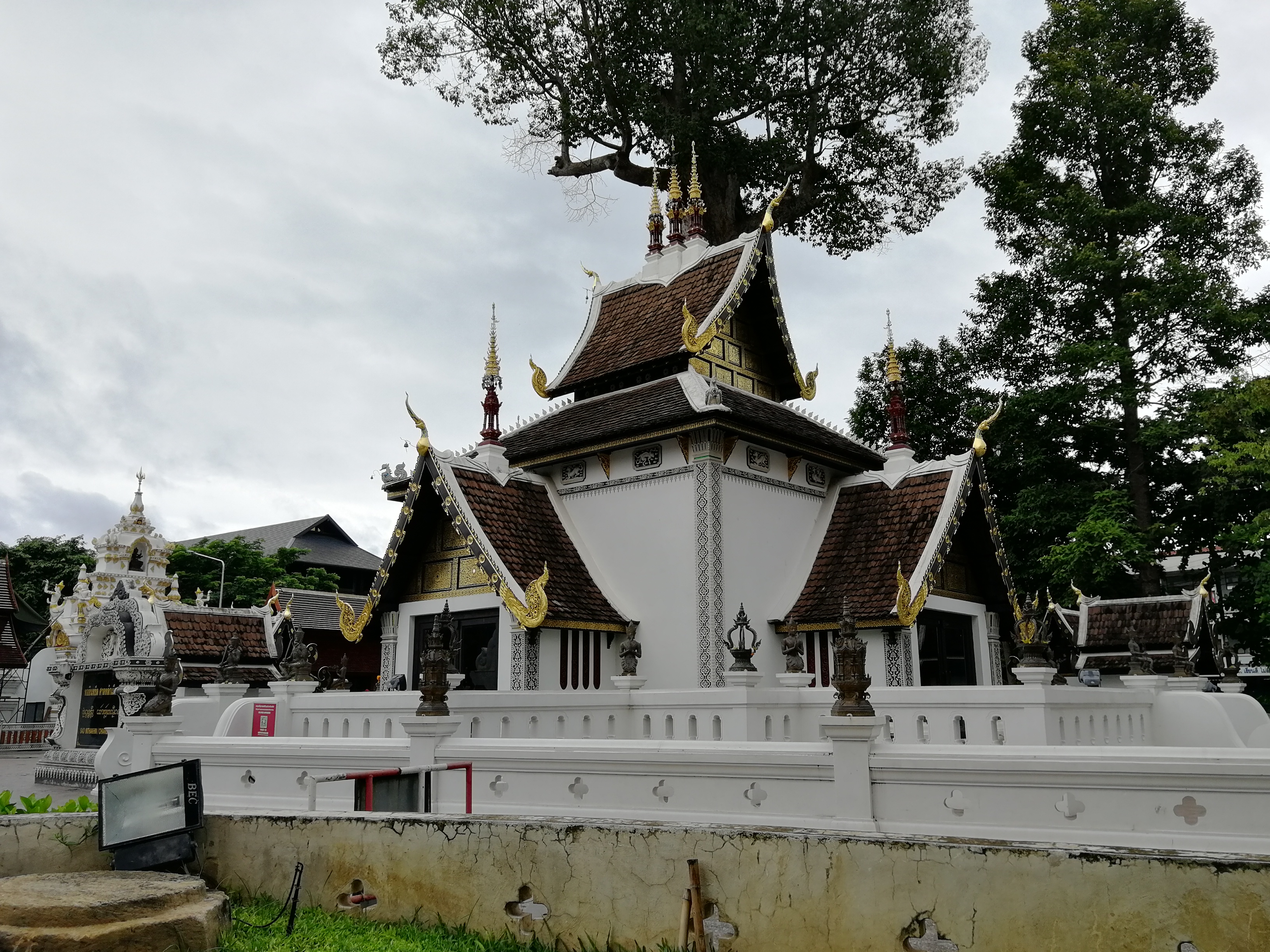 旅行特价机票,搜索机票最省钱路线