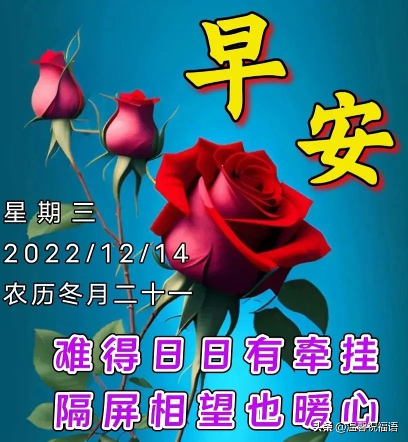 早上好特别漂亮早安祝福动态图片,12月31日早上好图片问候