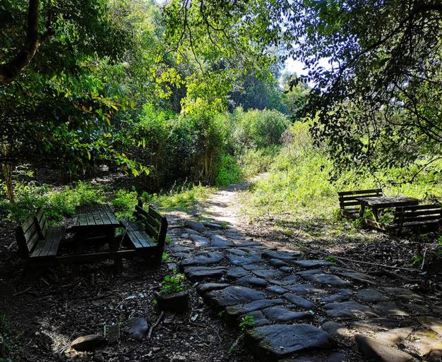 茶马古道文化研究最权威的人,茶马古道对于民族融合的影响