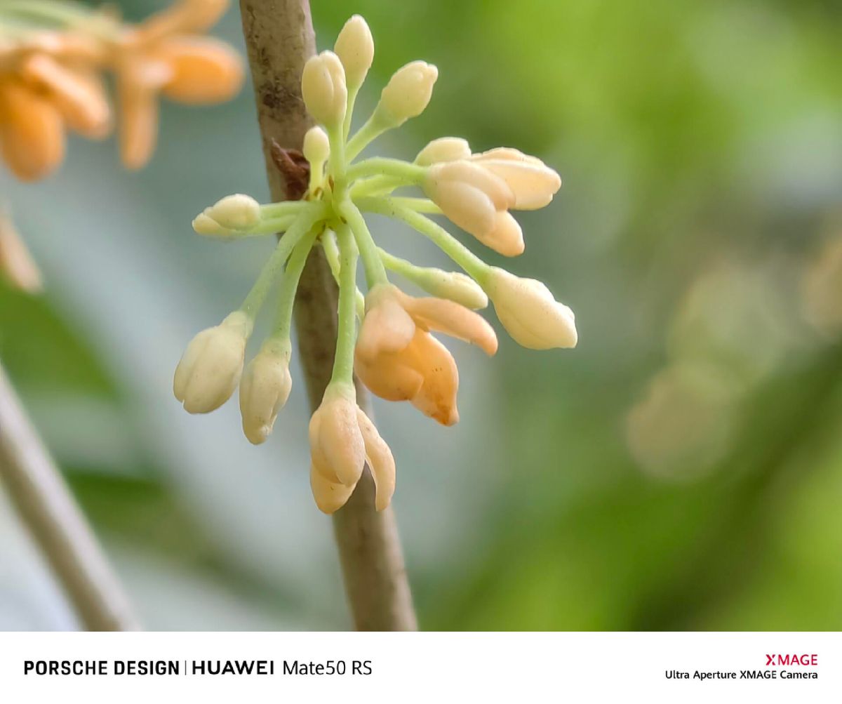 华为mate50rs保时捷还值得购买吗,华为mate50rs保时捷值得入手吗