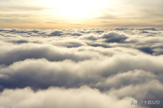 书为什么发黄,书为什么会发黄