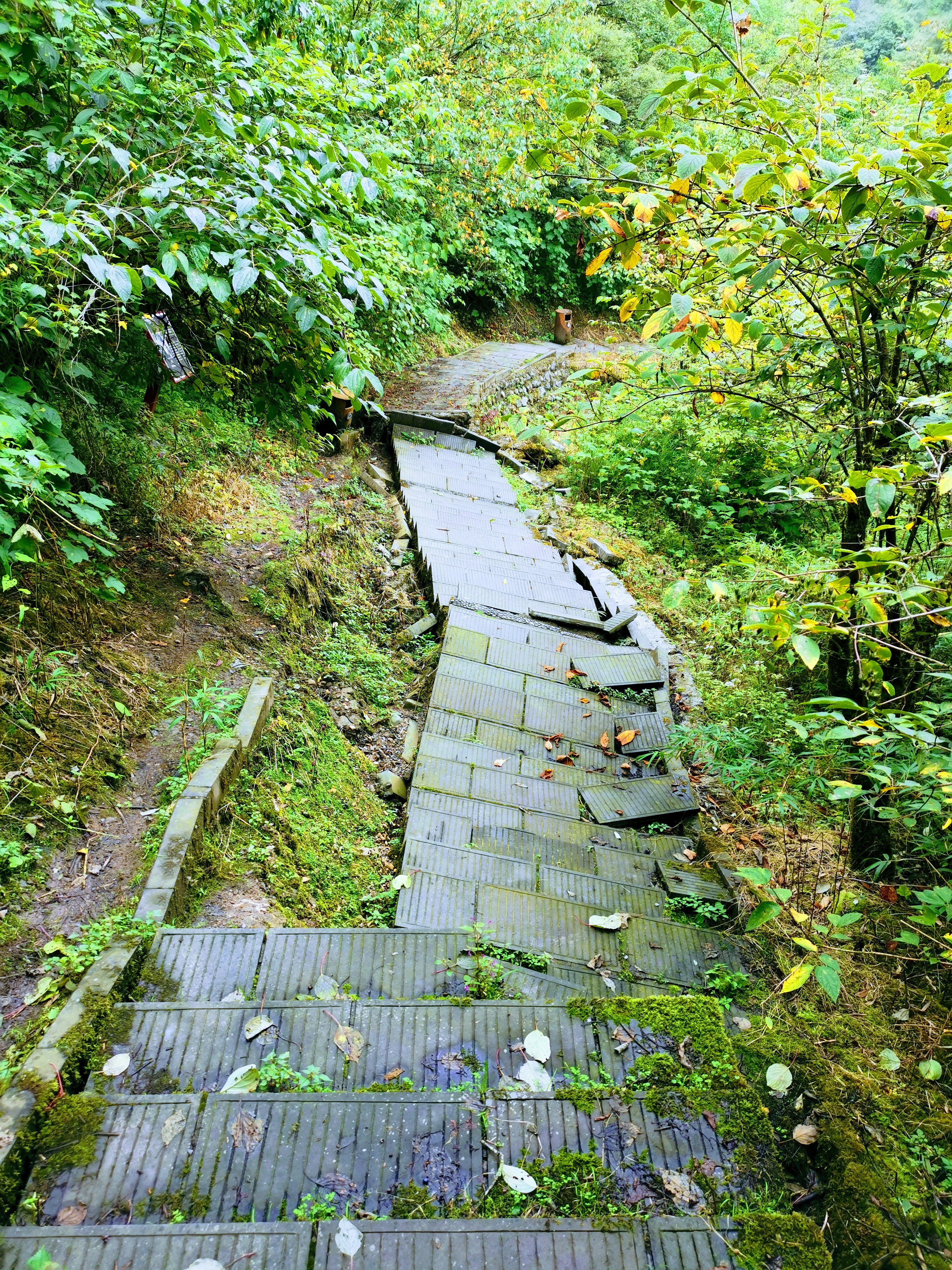成都大邑徒步旅游攻略,大邑西岭雪山后山门票