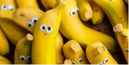 香丹清牌珂妍胶囊有什么功效,香丹清珂妍胶囊和碧生源润茶