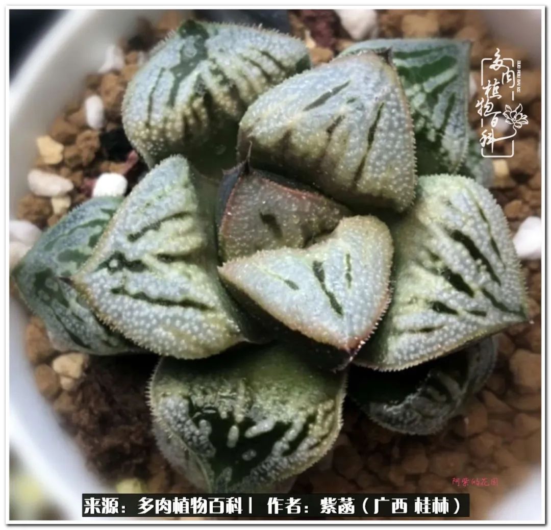 酷暑里的关爱，如十二卷般透亮绵长