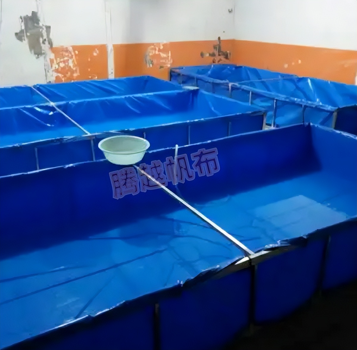 泥鳅养殖方法最简单,关于泥鳅的养殖方法