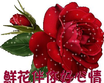 早上好表情包可爱早安问候语,早上好微信问候语大全带表情包