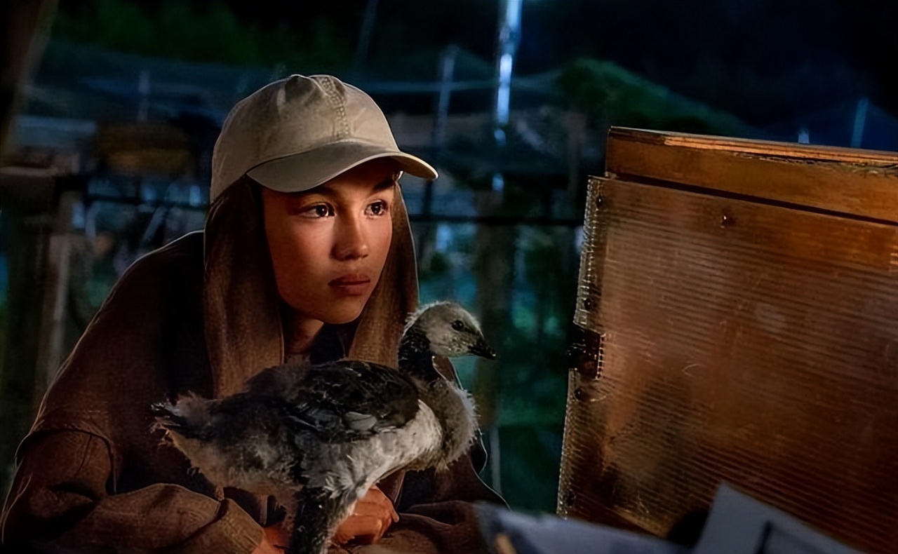 湖北一山洞吐鱼视频,湖北一山洞每年吐鱼