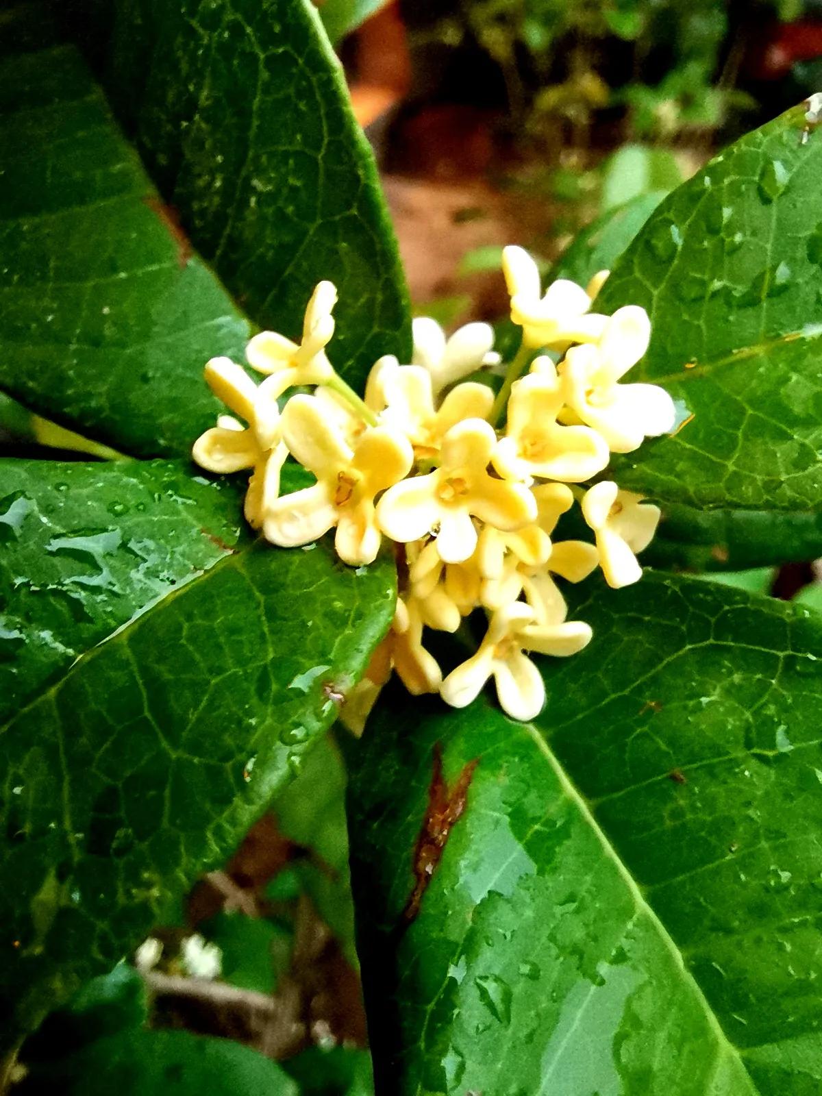 儿童搞笑段子大全爆笑幽默笑话,幽默笑话搞笑段子视频素材下载