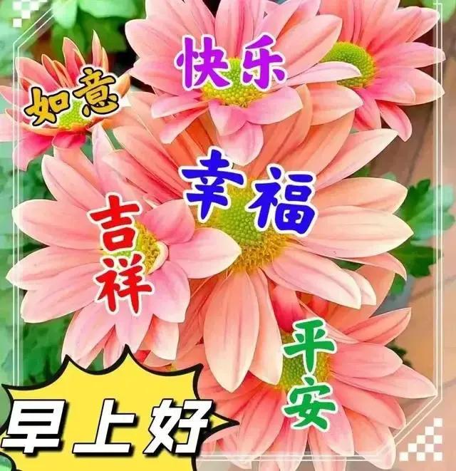 庚子日柱2023年癸卯年运势,癸卯年2023年哪个月出生最好