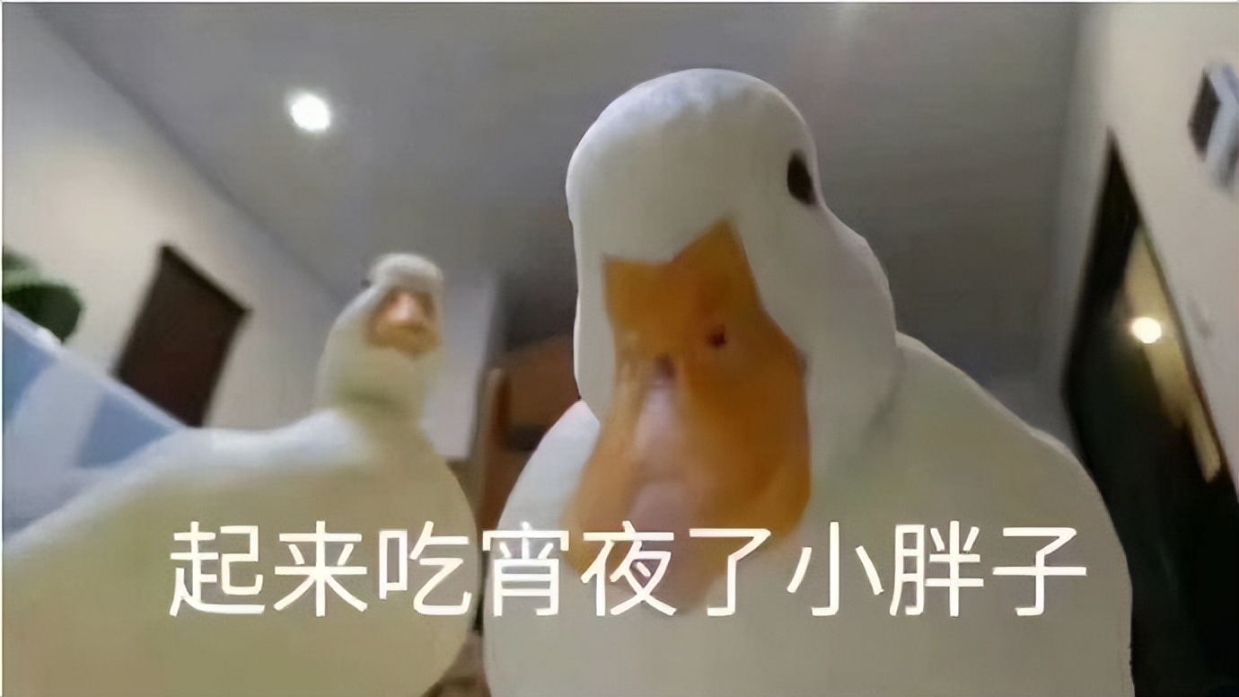 WildFieldHealth|「熬夜的具体危害有哪些？它的原理是什么？