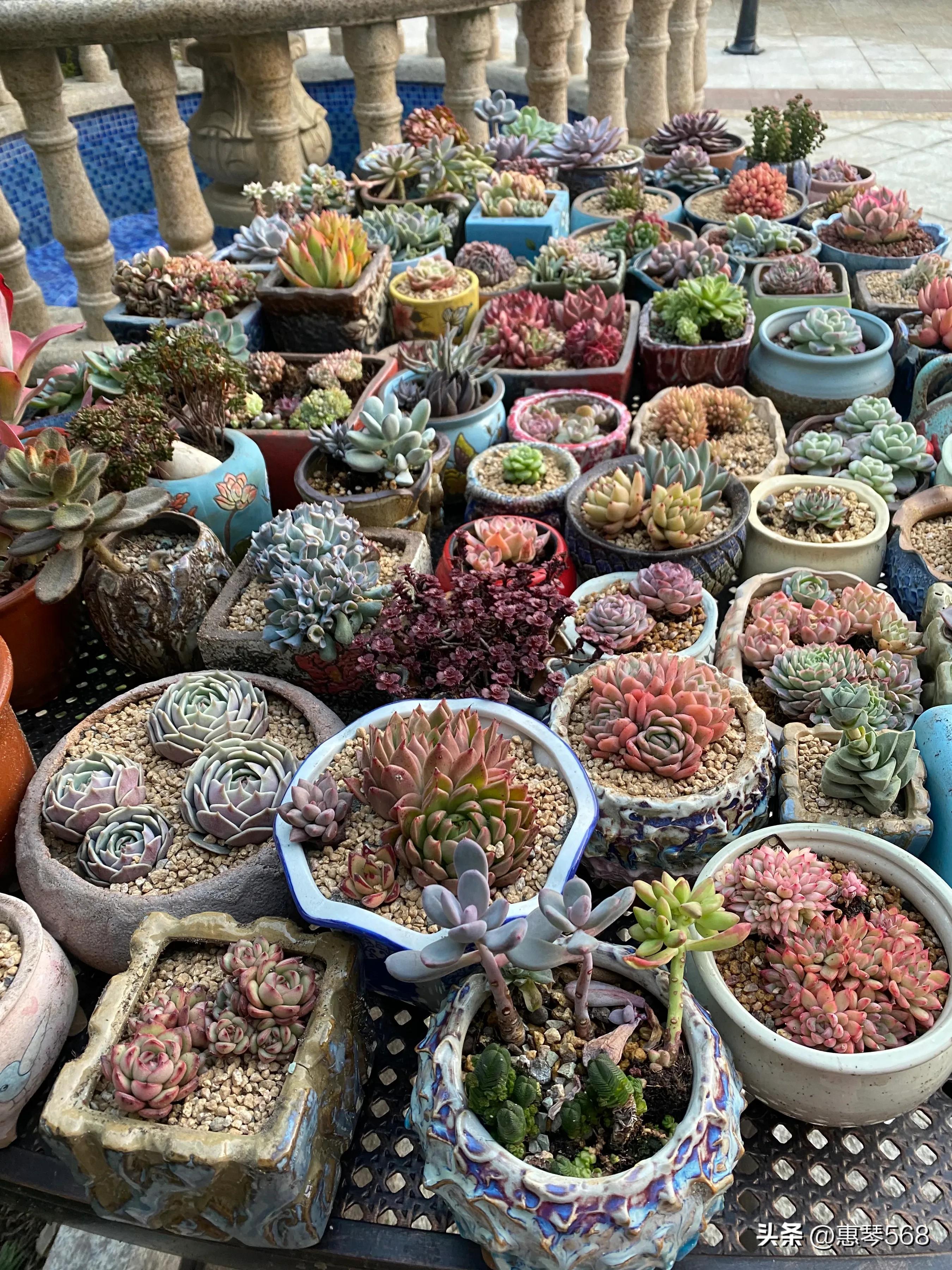 我的照片全部删了怎么找回来,我的照片图库在哪里