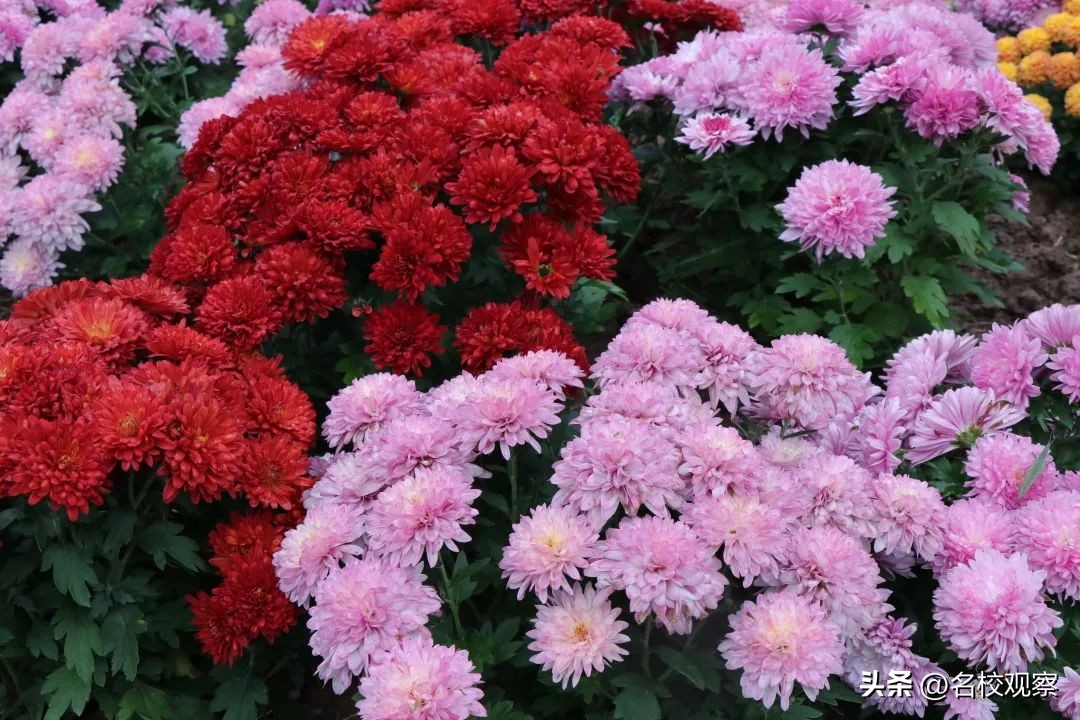 点亮时代文化之光,点亮中华优秀传统文化的智慧之光