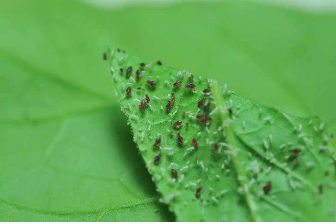 六本小说推荐,六本短篇小说