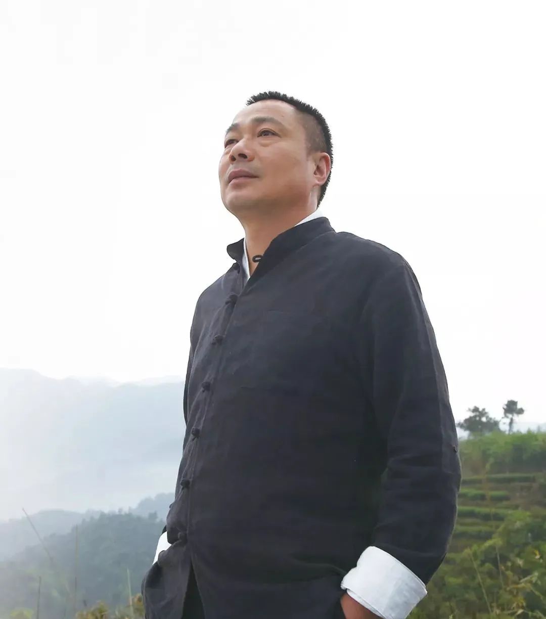 白茶书籍林振传,林振传白茶传承人