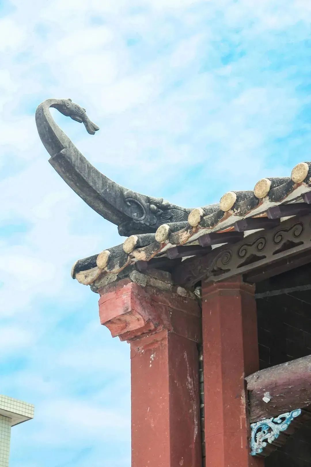 端午假期光明活动超精彩！音乐live、摘荔枝、包粽子……等你解锁！