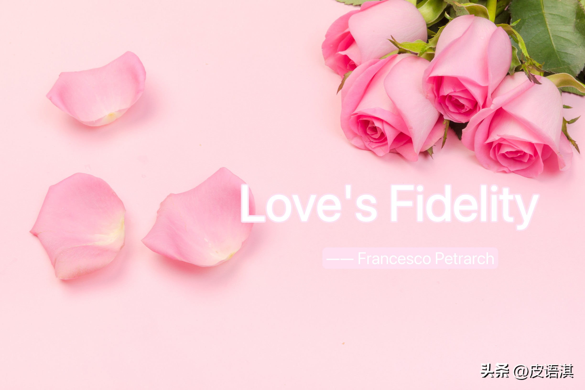 唯美的爱情英文诗,英文诗亘古不变的爱情