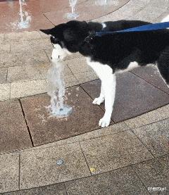 当代网友骂人能斯文到什么样子,网友骂人可以斯文到什么程度