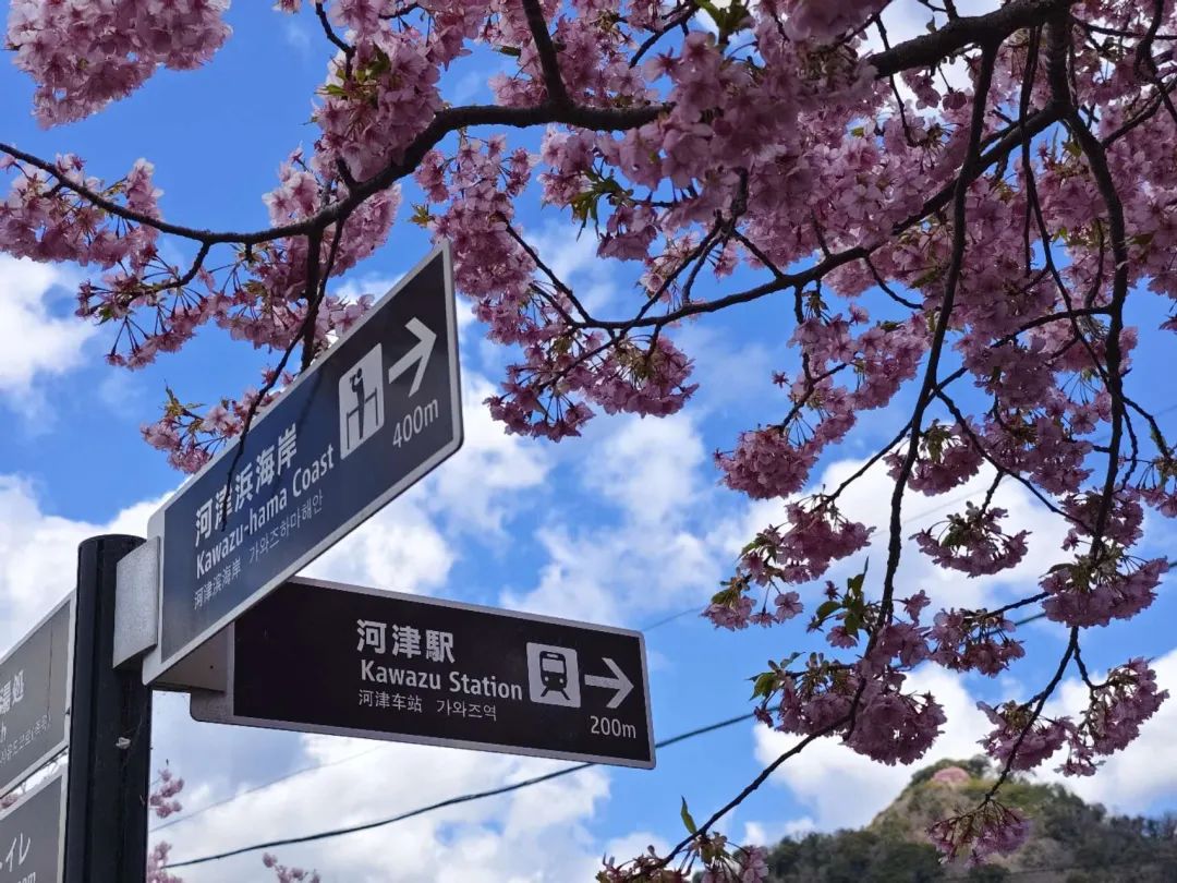 伊豆半岛两日游攻略,日本伊豆跟团旅游攻略