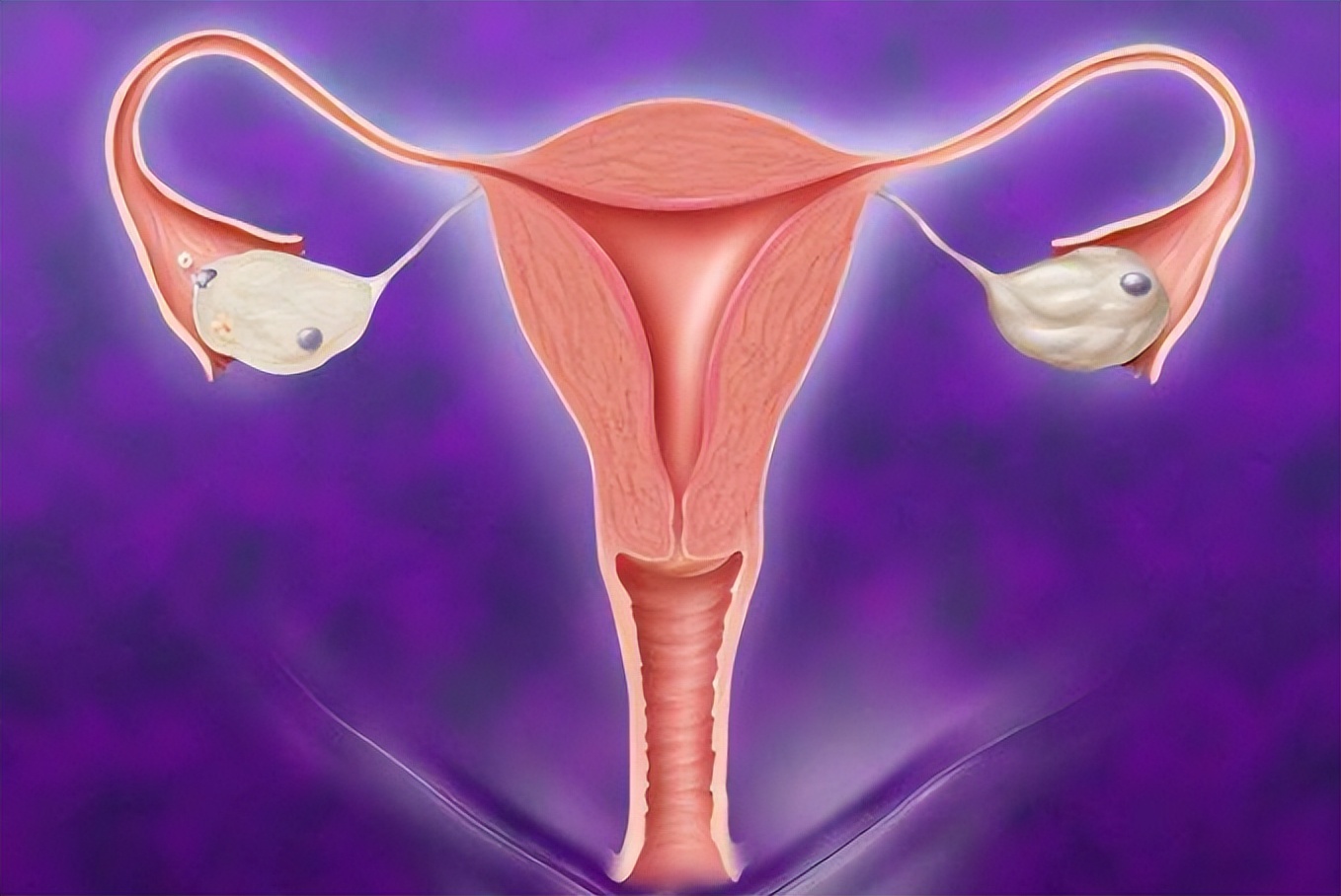 关于取卵你要知道的7件事，关系试管成功
