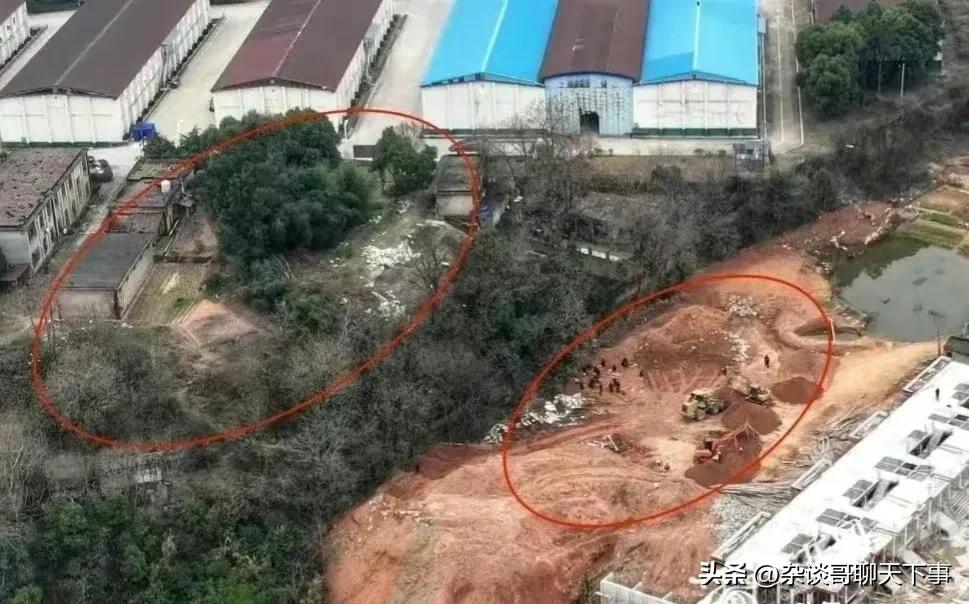 胡鑫宇的饭卡：卡住了谁？为何要掘地三尺寻找？