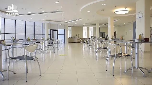 德国对阿根廷球队,德国对阿根廷