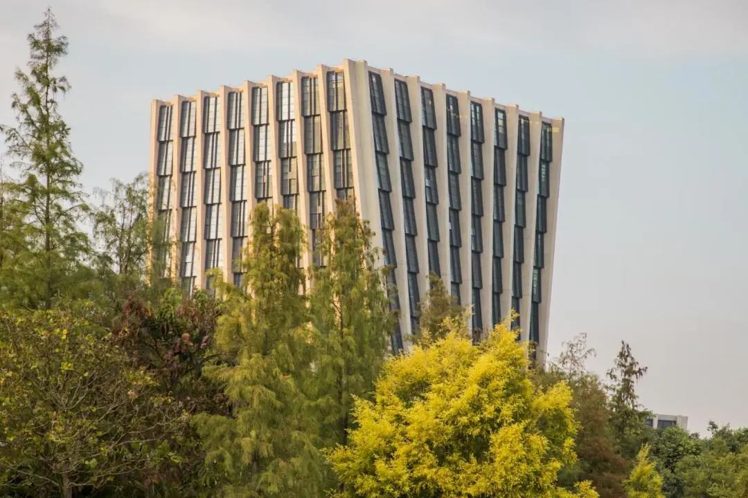 收藏打卡！坪山区原来有这么多地方可以逛，免费又好玩