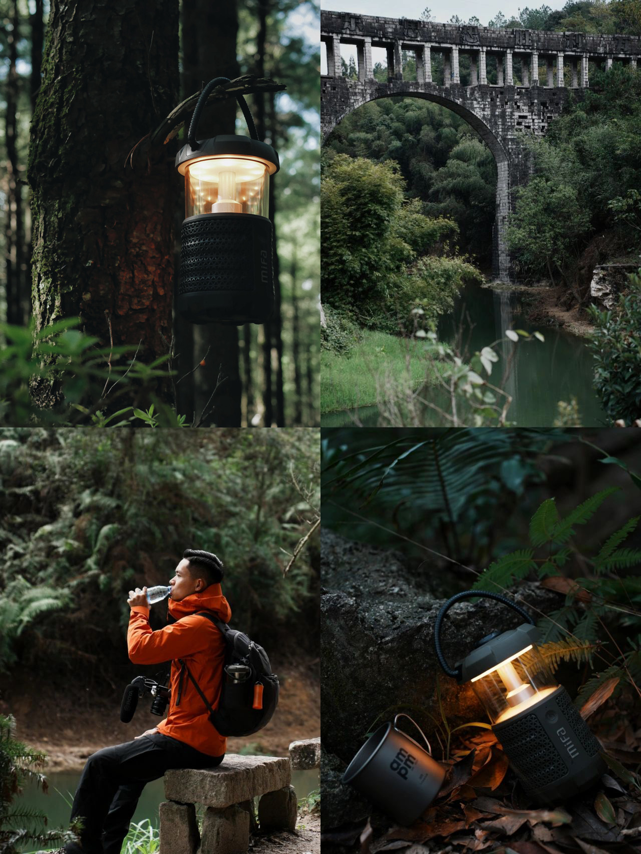 厦门森林公园免费景点,厦门森林旅游