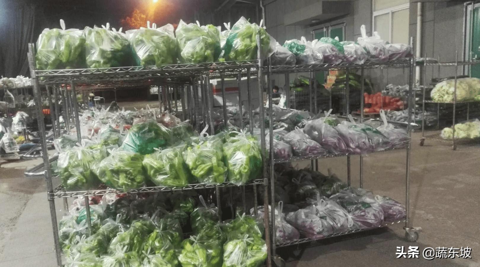 蔬东坡加盟,蔬东坡购物平台