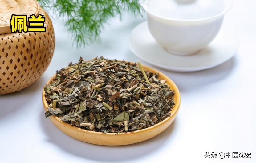 脾胃湿热运化不好吃啥中成药,脾胃不好的人怎么清热利湿呢