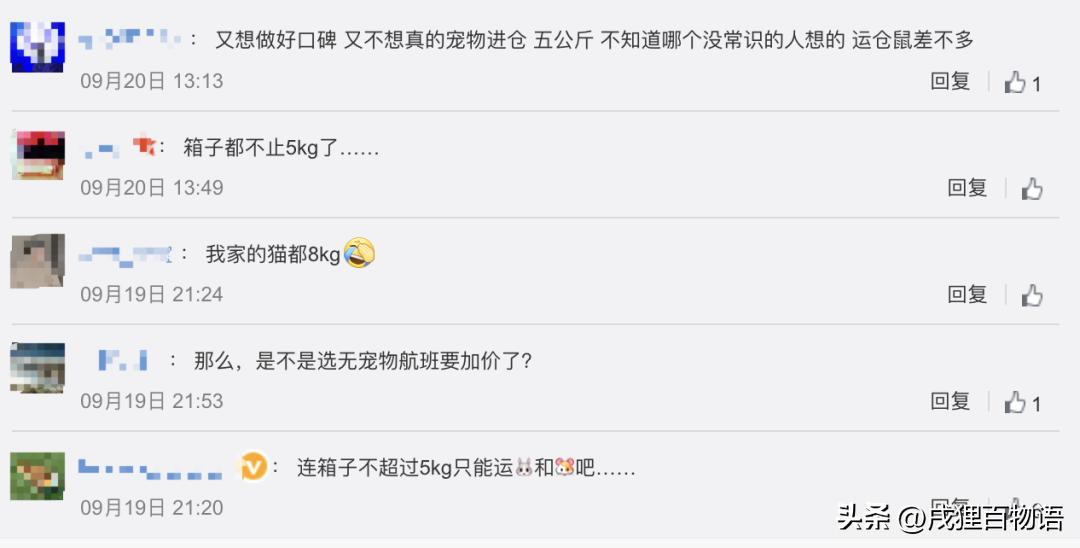 海南航空宠物进客舱,海南航空可将宠物带入客舱