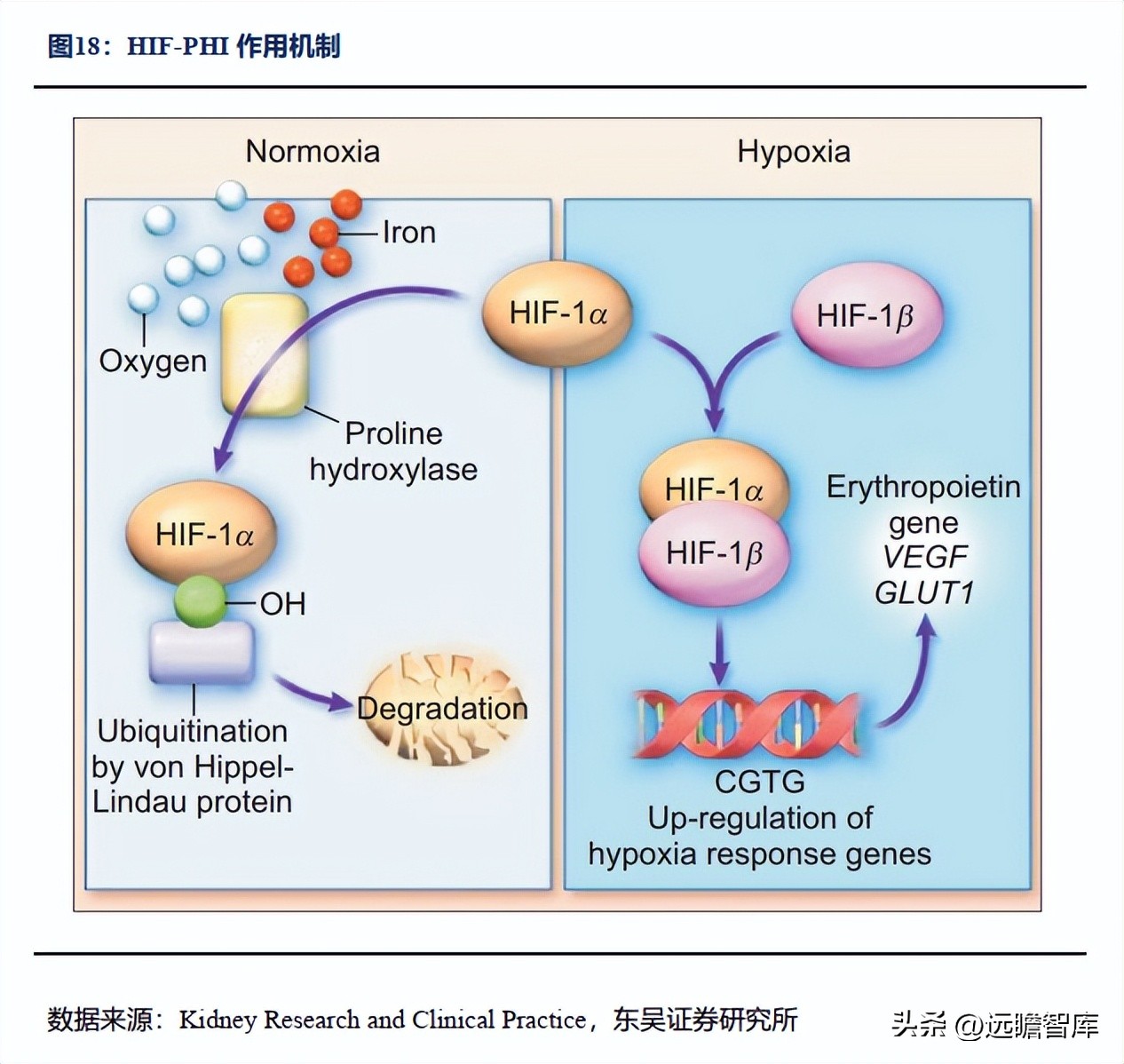 信立泰药业差异化,信立泰创新药研发能力