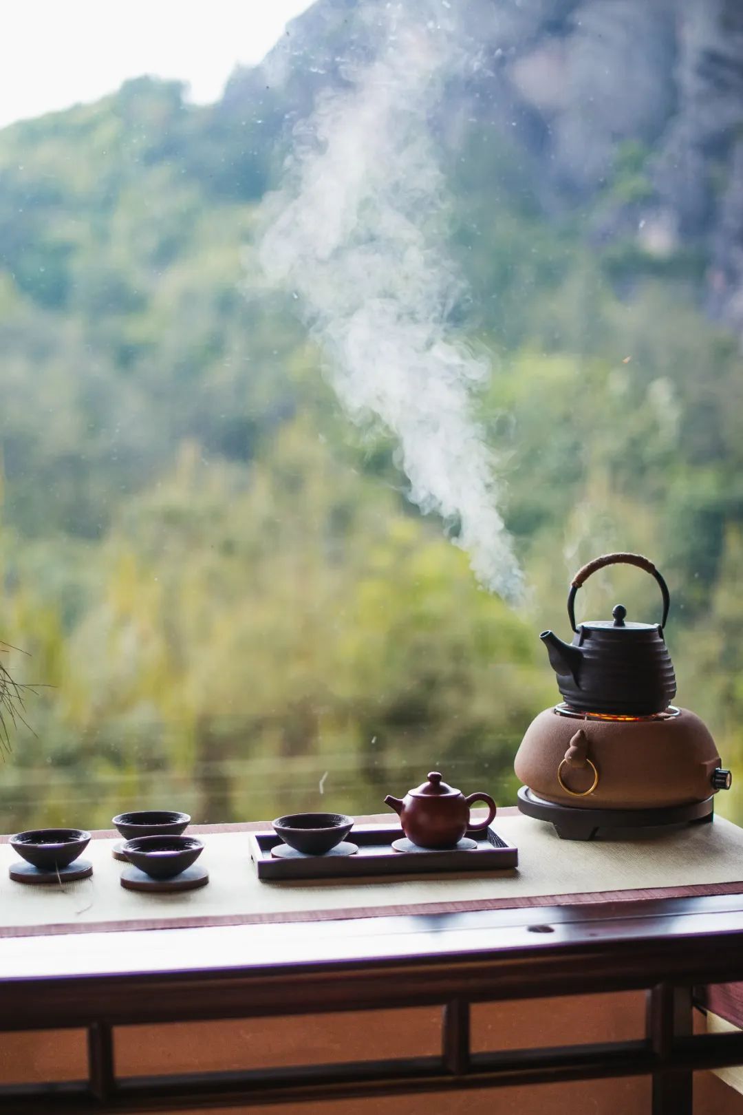 每天1分钟对武夷岩茶多1点了解,什么是岩茶