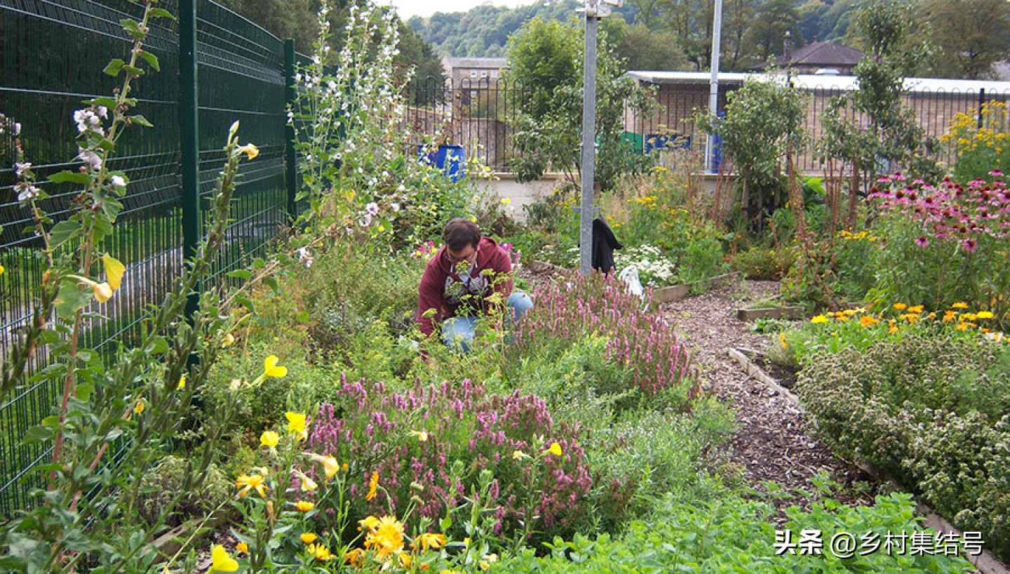 鎵樺痉鎽╃櫥,鑻卞浗鎵樺痉鎽╃櫥灏忛晣
