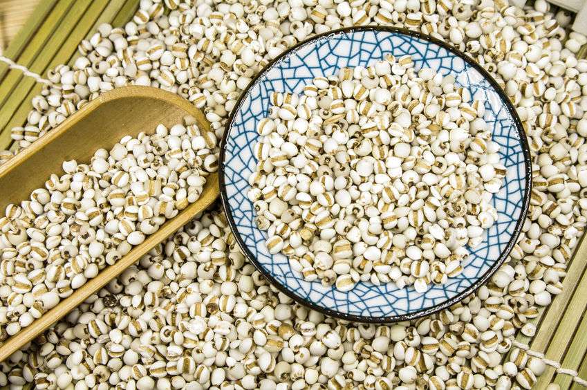 减肥期间吃哪些食物提高热量,热量高的食物有利于减肥吗