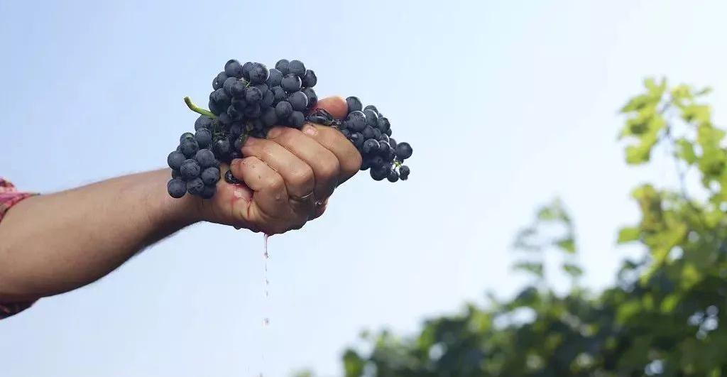 被捏碎乳腺的女人