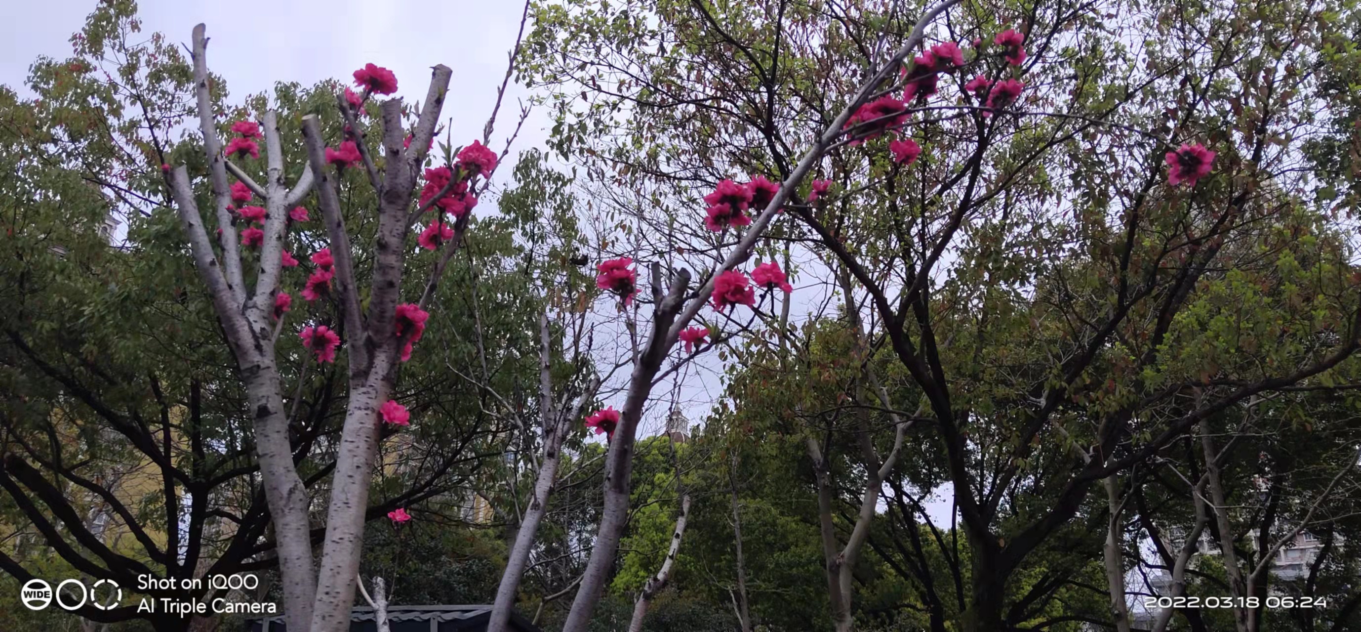 萧山风景拍照打卡地,萧山网红打卡景点春季