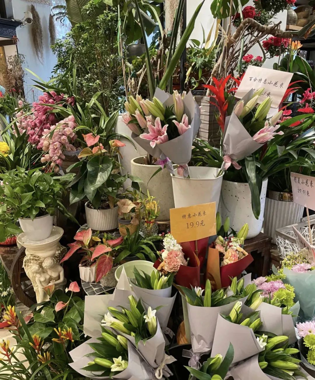 女神节将至这份礼包请收好,女神节优惠第一波来了快收好