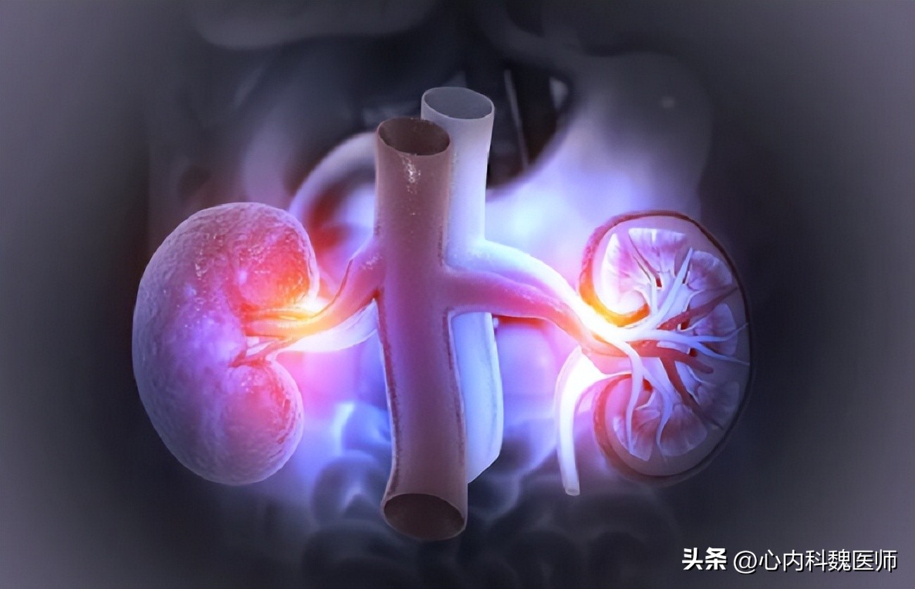 肾脏好不好检测什么就知道,肾好不好检测