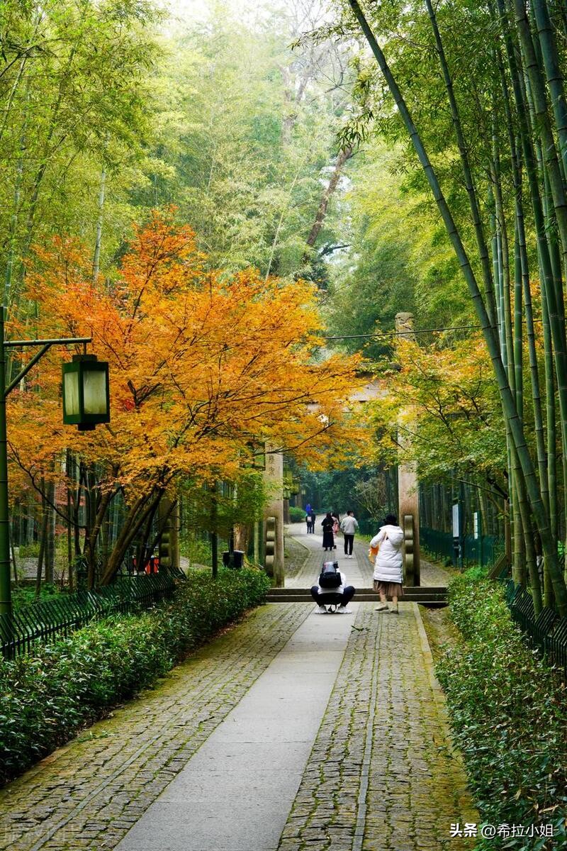 杭州新西湖十景更适合游览哪一景,杭州西湖新十景游玩攻略