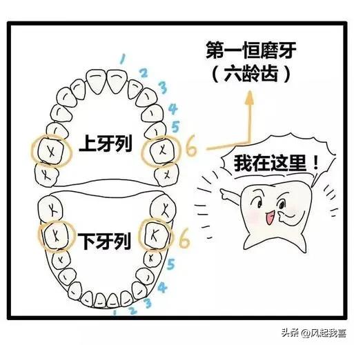 牙齿有个小洞补牙大概多少费用,补牙拔牙种牙价格