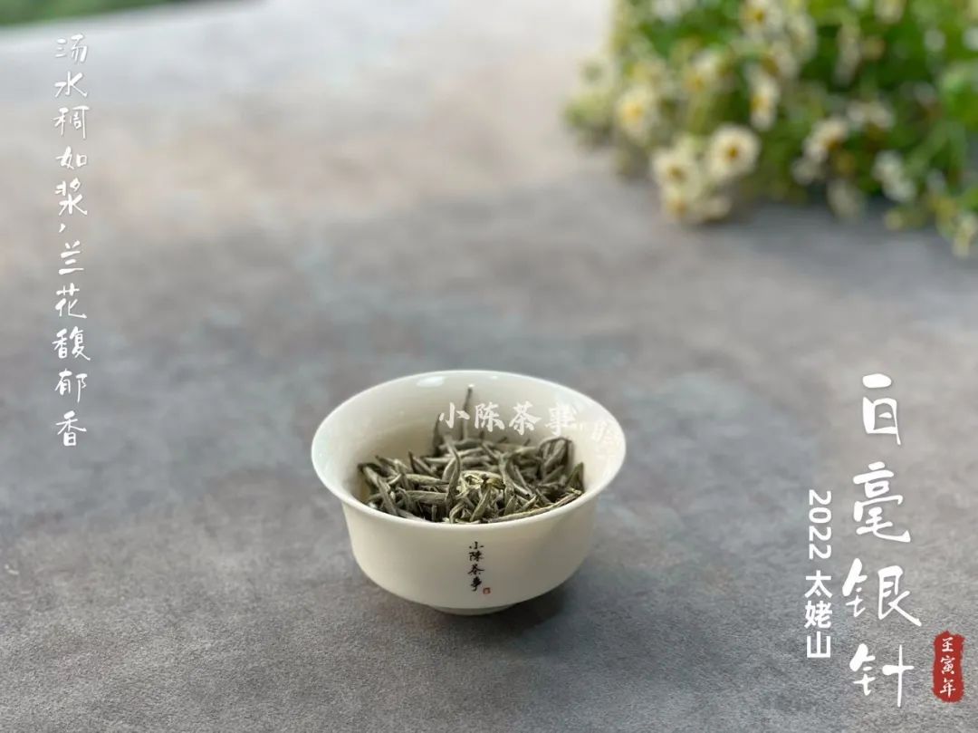 好几千买的白毫银针,怎么冲泡才不浪费?老茶客:5个细节很重要