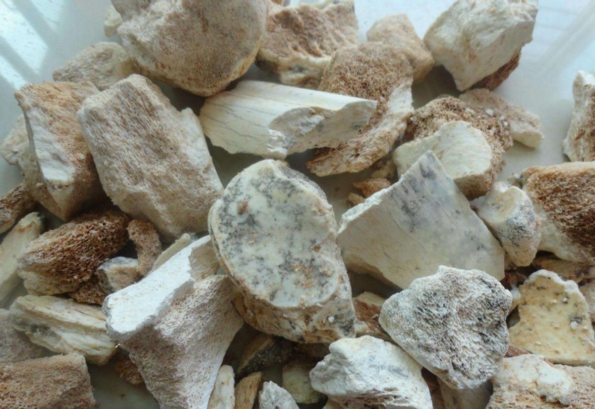 中医治心悸经方,心悸中医辨证论治归脾汤